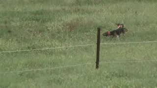 Domaine De La Chênairée Dieulefit