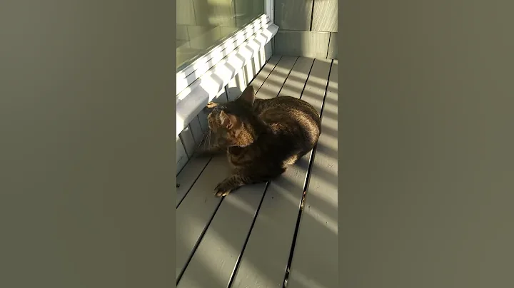 Carl on the porch