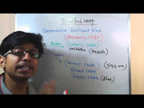 Bradford assay principle
