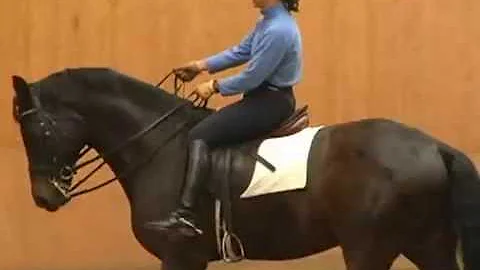 More in-depth skeletal riding and obtaining flexio...
