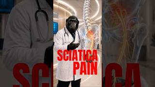 Sciatica pain