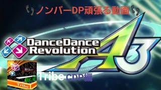 Tribe CDP GREAT FULLCOMBO