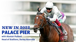 AUS: New in 2022 - Palace Pier (Kingman)