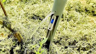 吊针留下来的针管还能这样使用，简单加工处理后，就能变废为宝