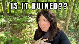 Solo hike on Hall Bend trail + thoughts about my channel