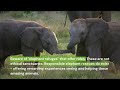 ETHICAL AND RESPONSIBLE TOURISM presented by SAFE Worldwide