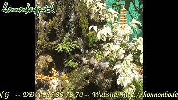 Hòn non bộ đẹp - 033