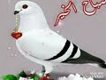 هي الدنيا سوت فينا يوم الغدر عشره علينا