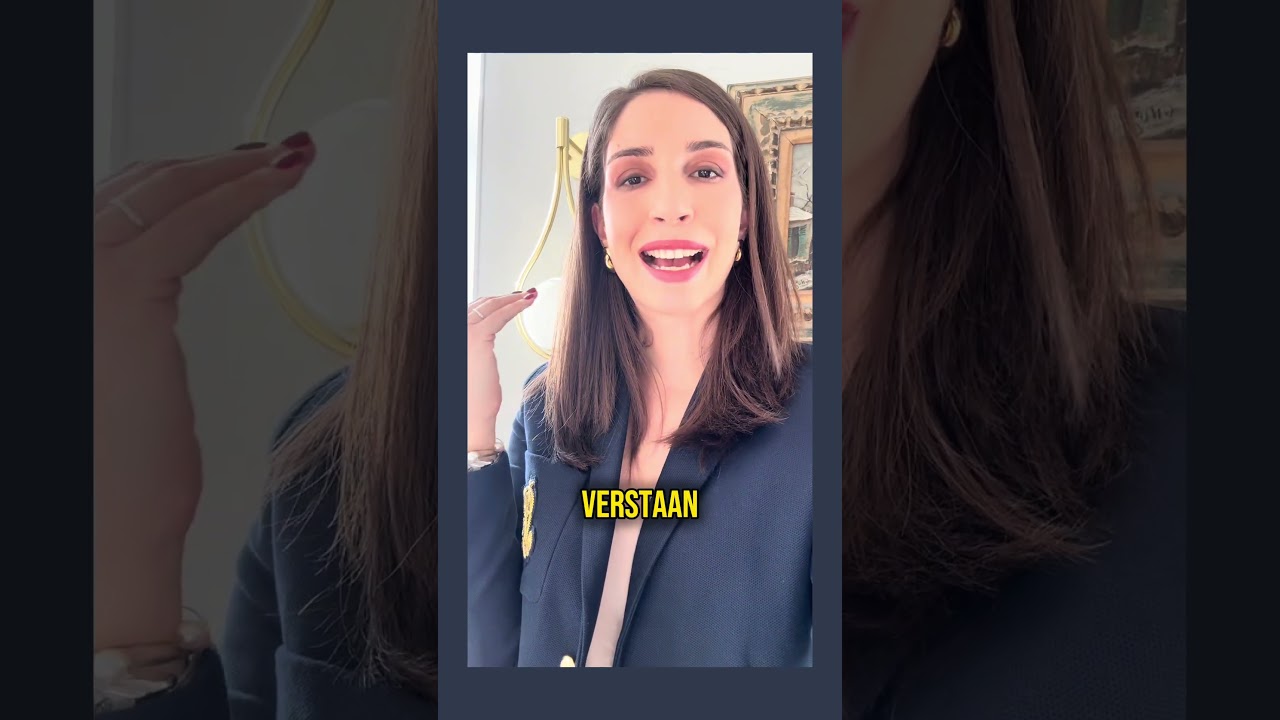 Misverstand недоразумение    