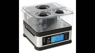 MORPHY RICHARDS Intellisteam Steamer (1600 Watt, Weiss/Transparent) Information