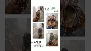 Women Sandals Shoe Open Toe Sandals