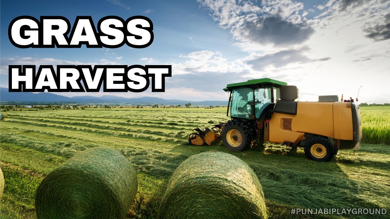 How to Harvest Grass in Farming Simulator 25 - YouTube