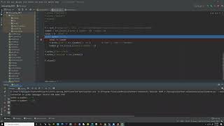 PyCharm Debugger Usage