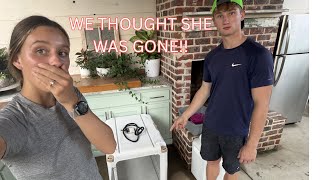 We were so worried! We thought she was gone! Plus VERY exciting Barndominium updates today!!