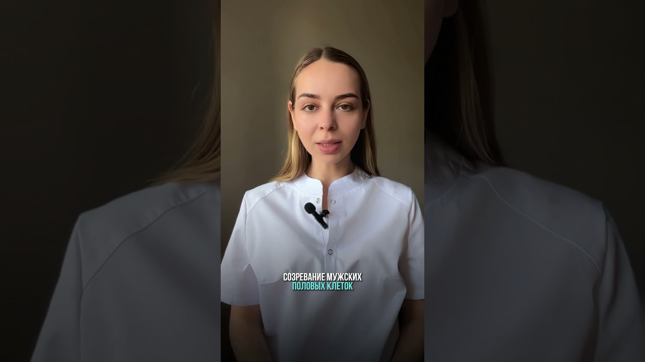 25 мая 2024 г.