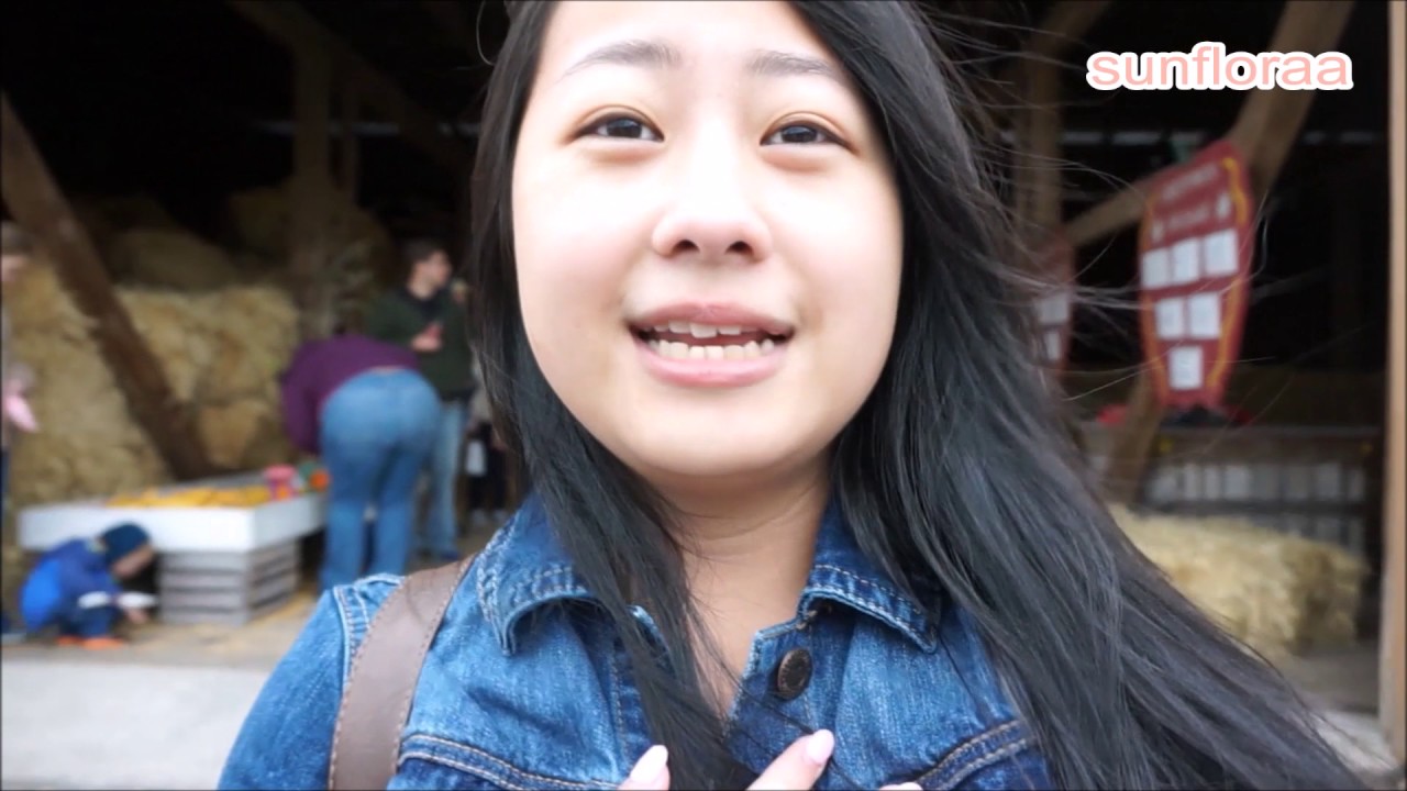 Video Diary 8 | Pumpkin Picking | sunfloraa