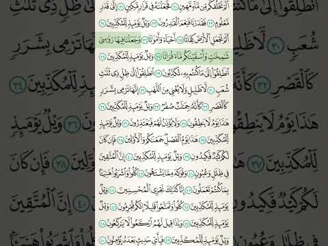 Quran Quranrecitation Qurantilawat Islamicprayer قرآن قران كريم قران الكريم المصحف 