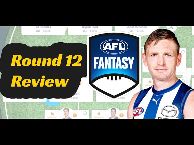 AFL Team of the Week: Round 12