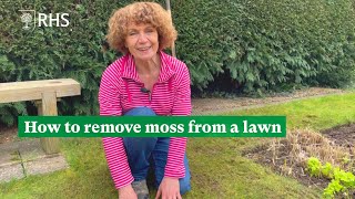 How to remove moss from a lawn | The RHS