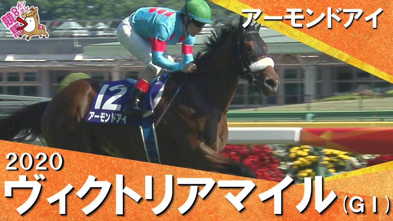 関連動画1