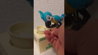 SATISFYING ASMR PARROT BIRD WANT MENTOL CANDY #asmr #shorts #satisfying #trending #interesting