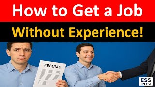 How to Get a Job Without Work Experience Step by Step Guide | Jobs Guide | CV for No Experience