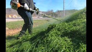 Battery Vs. Gas Weed Eaters: The Shocking Truth