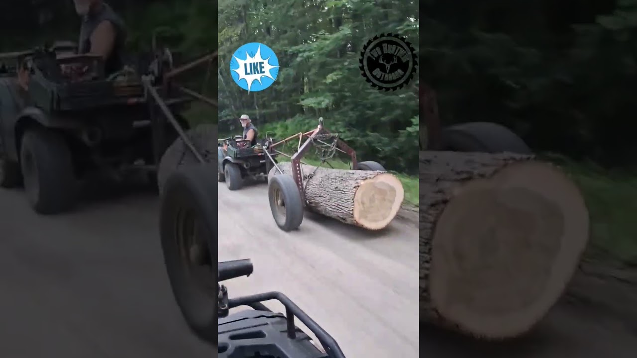 No belly rub here! #transport #logging #atv