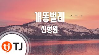 [TJ노래방] 개똥벌레 - 신형원(Shin, Hyung-Won) / TJ Karaoke chords