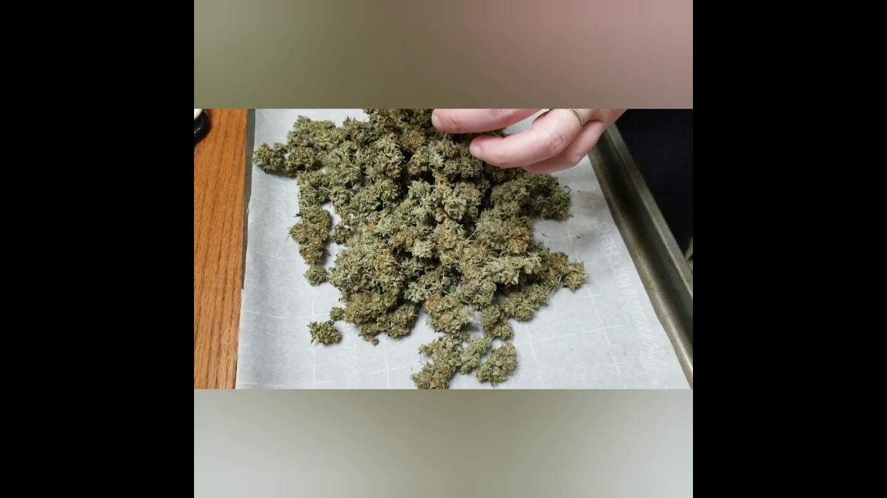 Harvesting, Drying and Weighing GDP