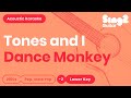 Tones and i  dance monkey lower key acoustic karaoke