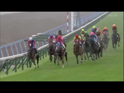 小倉記念（G3）2014　サトノノブレス