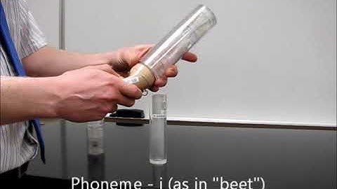 Artificial Larynx with Vocal Tract Models