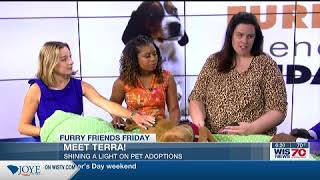 Furry Friend Friday: Terra