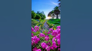 #قرآن كريم#أواخر سورة البقرة #راحة نفسيه# #أجر #اكسبلور