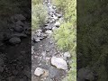 #natural #spring #water #stream #tinnitus #relief