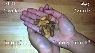 20 Words Hindi And Persian