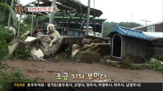 [TV동물농장] 20130717 #2(2)