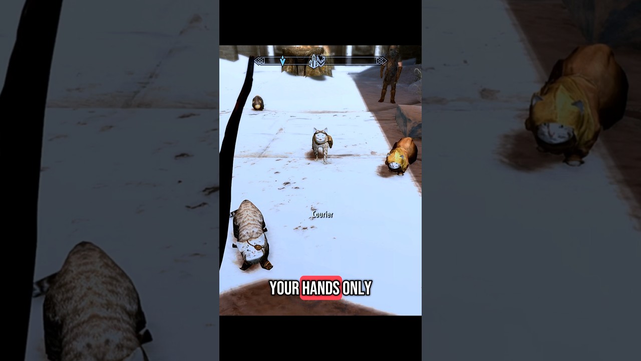 Cat couriers in skyrim