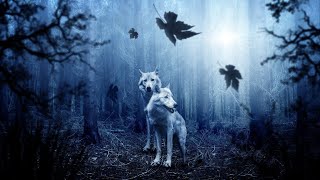 16# Relaxing calm music With the beauty of nature screenshot 1