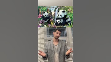 How many Pandas do you see? #panda #eyetest #guessinggame #interactive