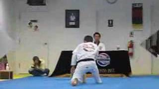 1st Dan test