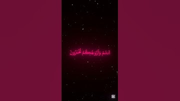 سورة الزخرف 🤍 #القرآن #القرآن_الكريم #اكسبلور #اكسبلورهاشتاقات #لايك #المصحف #محمد اللحيدان