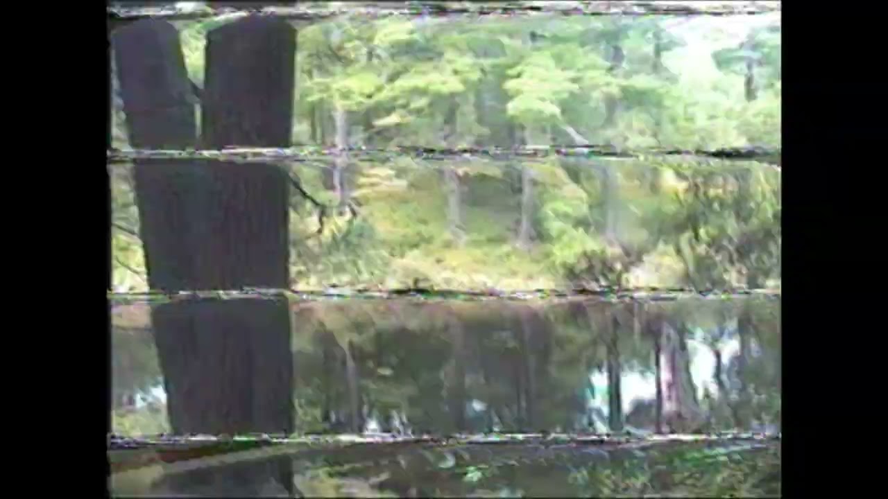 [FREE FOR PROFIT] CLOUD RAP TYPE BEAT "LULLABY"