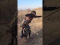 Today we will do cow hunting।आज हम गाय को स्वीकार करेंगे #shorts