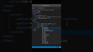 how to use select and option in HTML