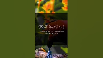 ﴿ قل أعوذ برب الفلق ﴾… آيات تحميك من شر ما خلق 🌒🛡️