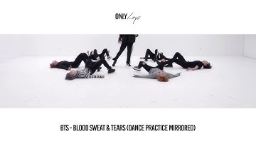 BTS - Blood Sweat & Tears (Dance Practice Mirrored)