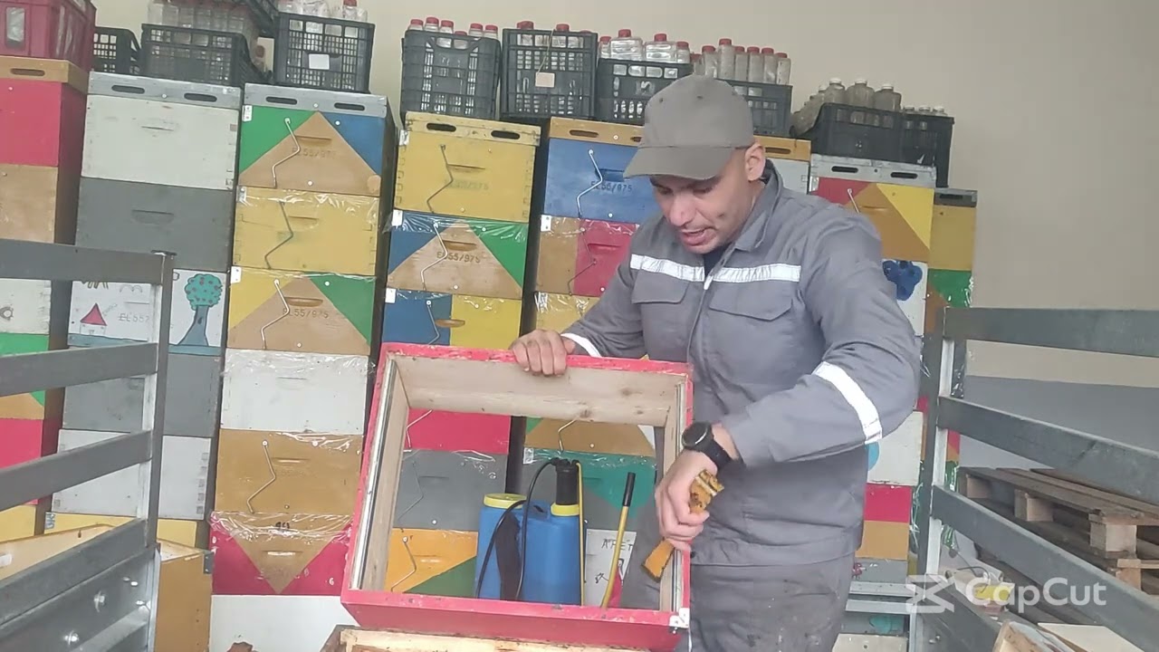 ΣΥΛΛΟΓΗ ΠΡΟΠΟΛΗΣ ΚΑΙ ΚΑΘΑΡΙΣΜΟΣ ΠΛΑΙΣΙΩΝ ΜΕ ΤΗ 