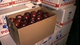 TN-89-051-007 | Thames News Archive Footage